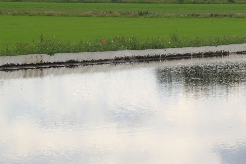 Inundatierollen