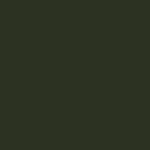 RAL6007 - Juniper Green
